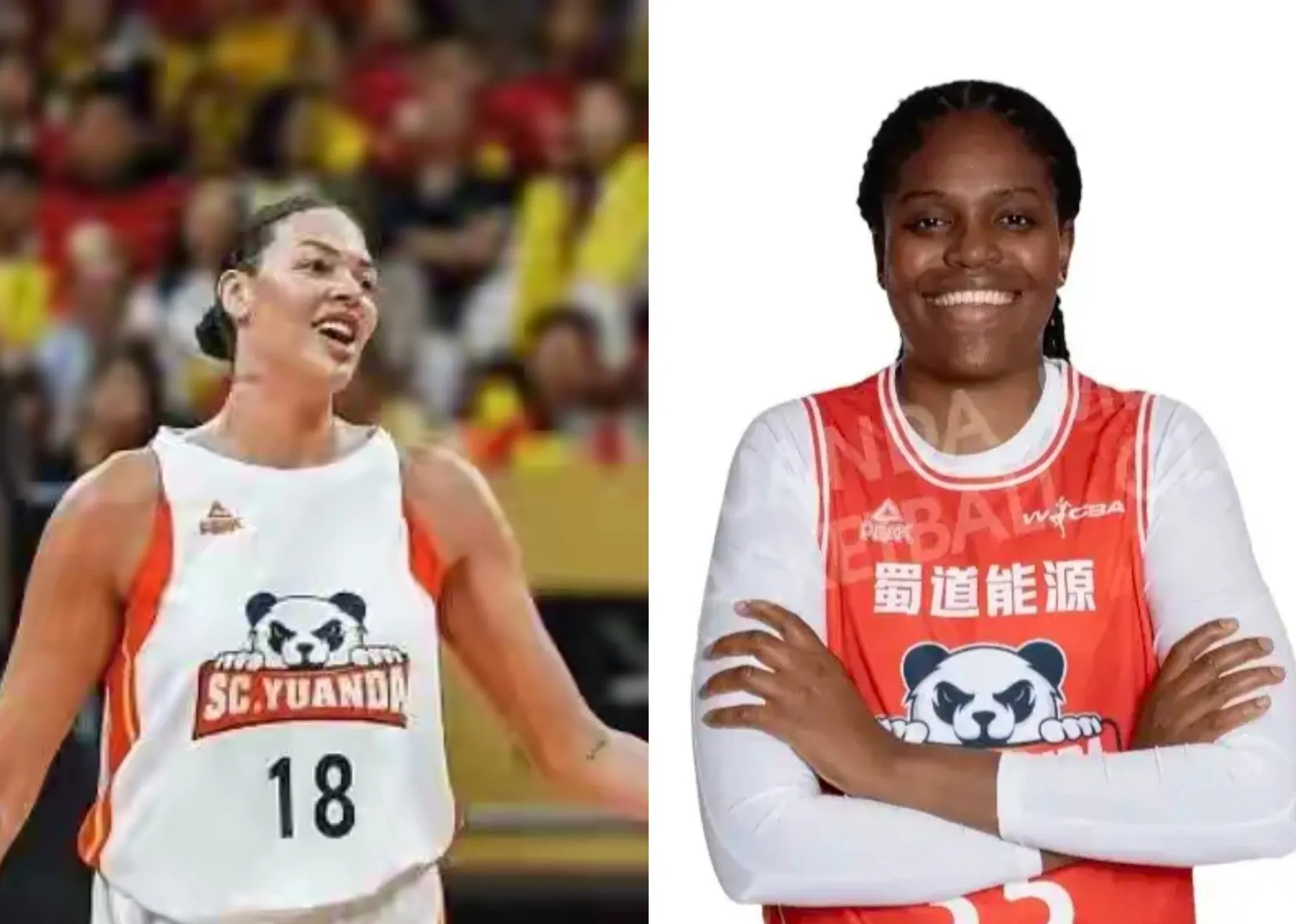 奥地利女篮获得关键胜利,受到热烈追捧的简单介绍 奥地利女篮获得关键胜利,受到热烈追捧的简单介绍